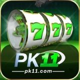 pk11-game