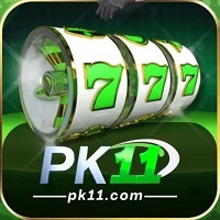 pk11-game